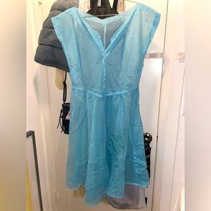 Vintage 1950’s sheer dress